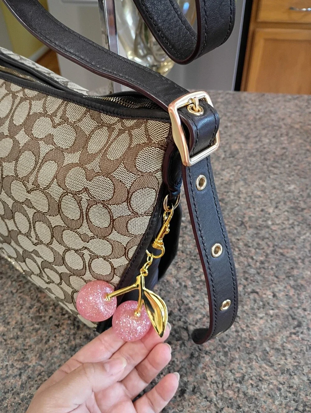 Coach Khaki and Brown Signature Canvas Shoulder Bag